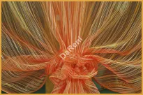 Firana Astri czerwona woal 300 cm x 150 cm - 4